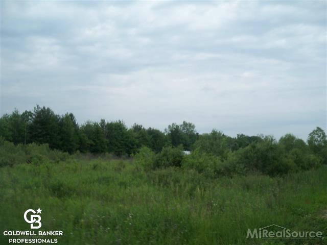 7733 Trumble Road Columbus, MI 48063 - Photo 3 of 7
