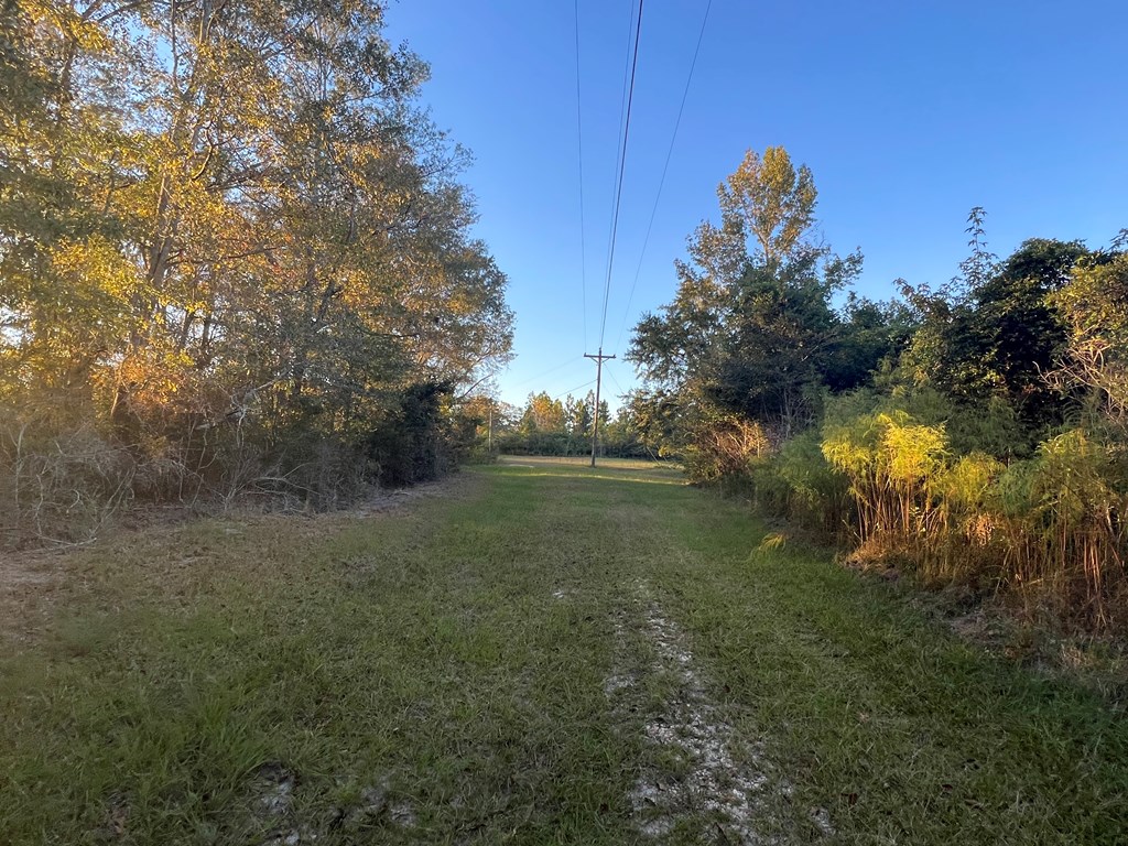 4151 Cotton Box Road Slocomb, AL 36375 - Photo 13 of 17