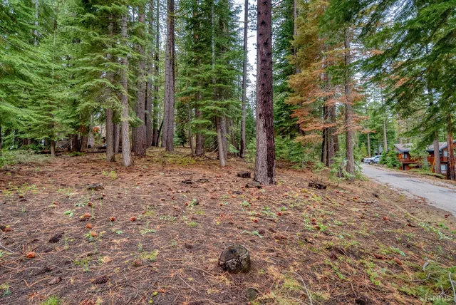 a backyard of a house with lots of green space