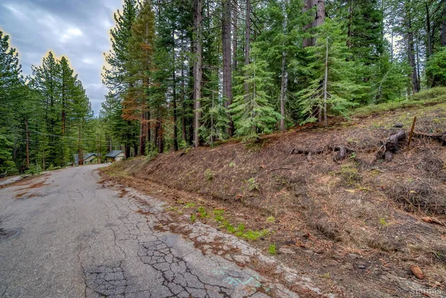a view of a dirt road with trees in the background