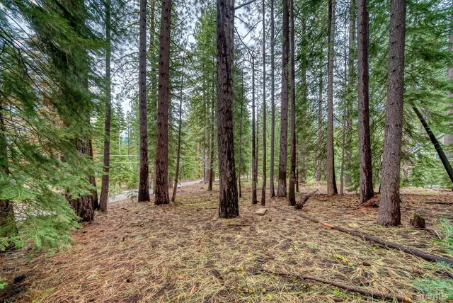 a view of outdoor space and trees