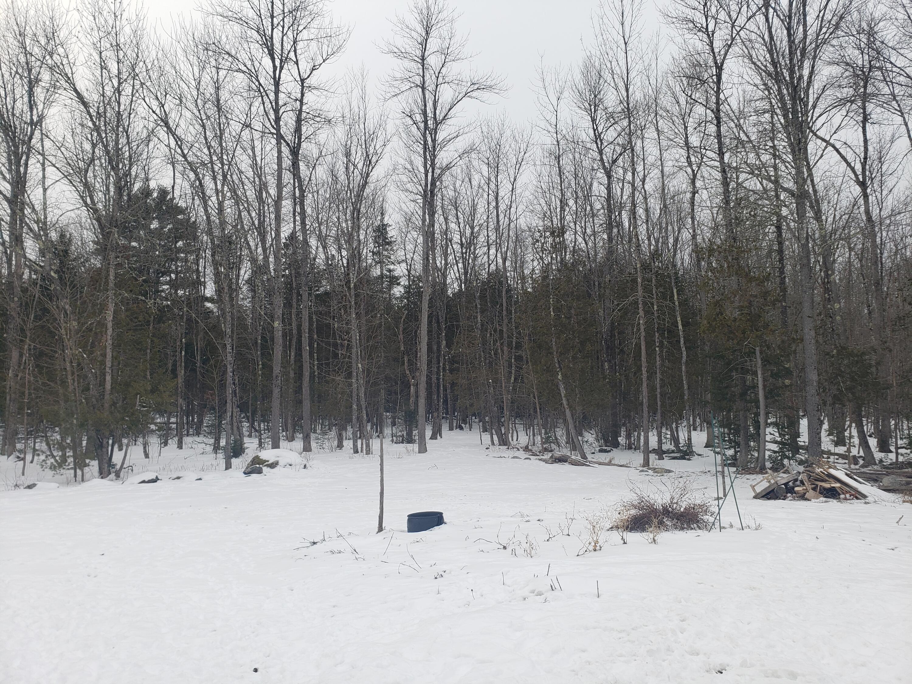 480 Winnecook Road Burnham, ME 04922 - Photo 5 of 29 5