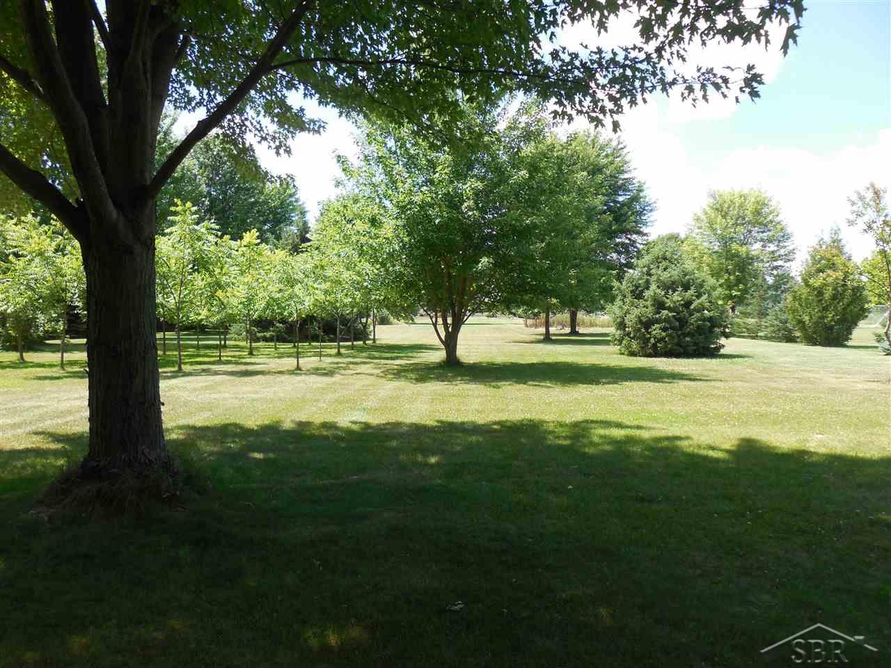 8241 South Beyer Road Birch Run, MI 48415 - Photo 47 of 53 31298476-46.JPG