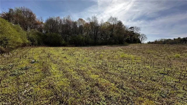 $121,250 | Tbd002 Christian Home Church Road, Traphill, NC 28685