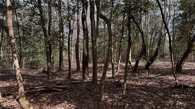 $121,250 | Tbd002 Christian Home Church Road, Traphill, NC 28685