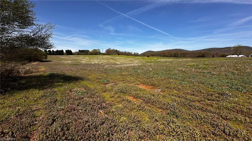 Tbd002 Christian Home Church Road Traphill, NC 28685 - Photo 18 of 23