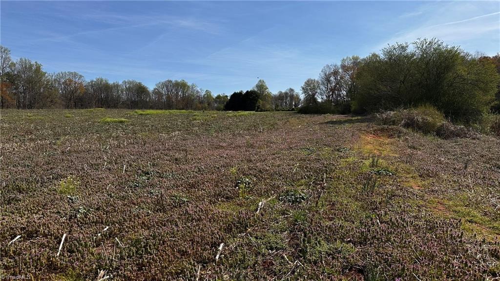 Tbd002 Christian Home Church Road Traphill, NC 28685 - Photo 21 of 23