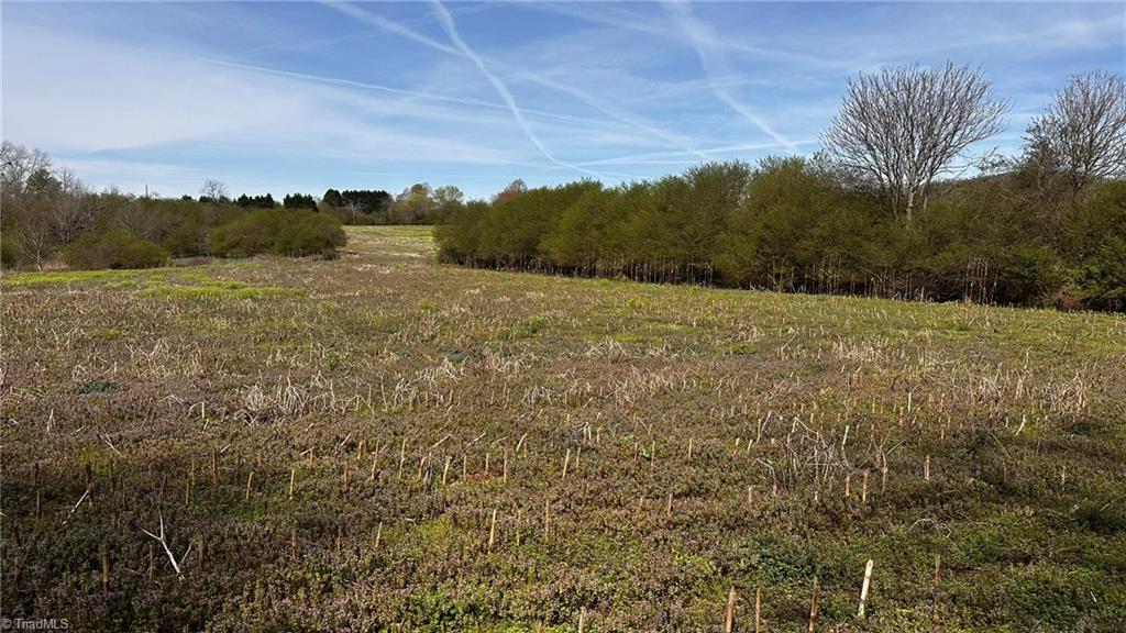 Tbd002 Christian Home Church Road Traphill, NC 28685 - Photo 22 of 23