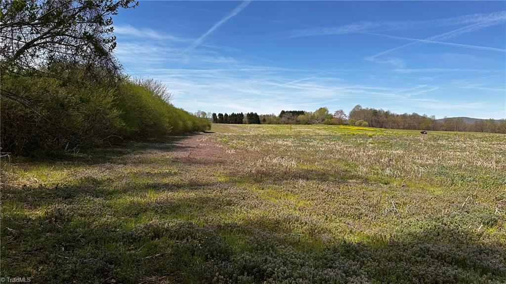 Tbd002 Christian Home Church Road Traphill, NC 28685 - Photo 4 of 23