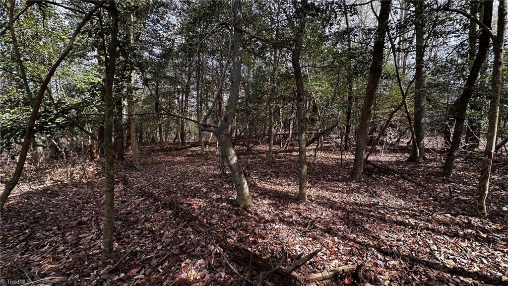 Tbd002 Christian Home Church Road Traphill, NC 28685 - Photo 6 of 23