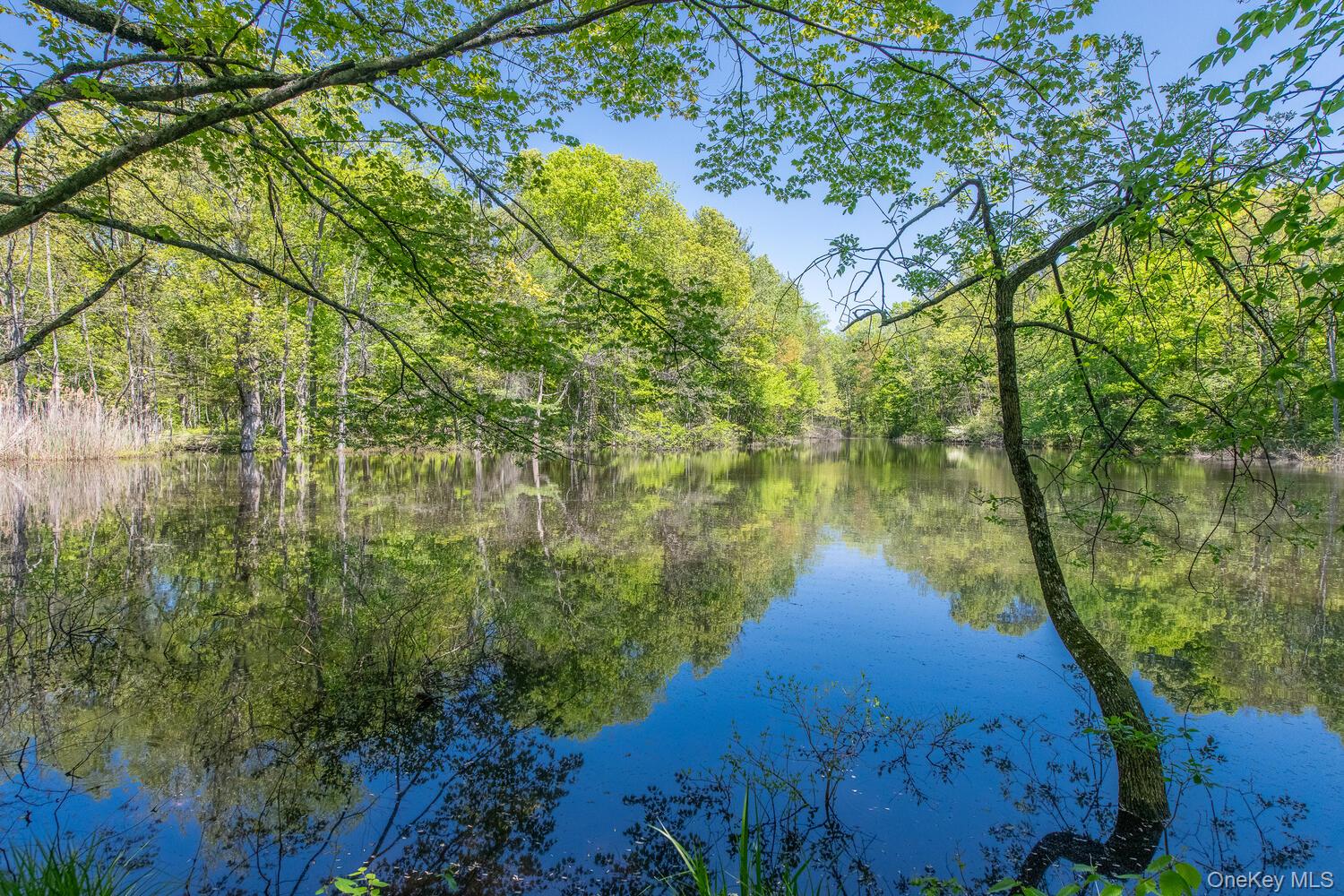 33 Pells Road Rhinebeck, NY 12572 - Photo 45 of 50 a view of lake