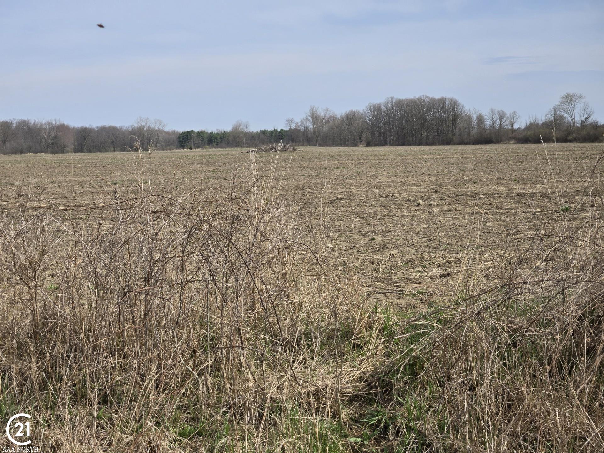 0 Meskill (lot D) Road Columbus, MI 48063 - Photo 14 of 15