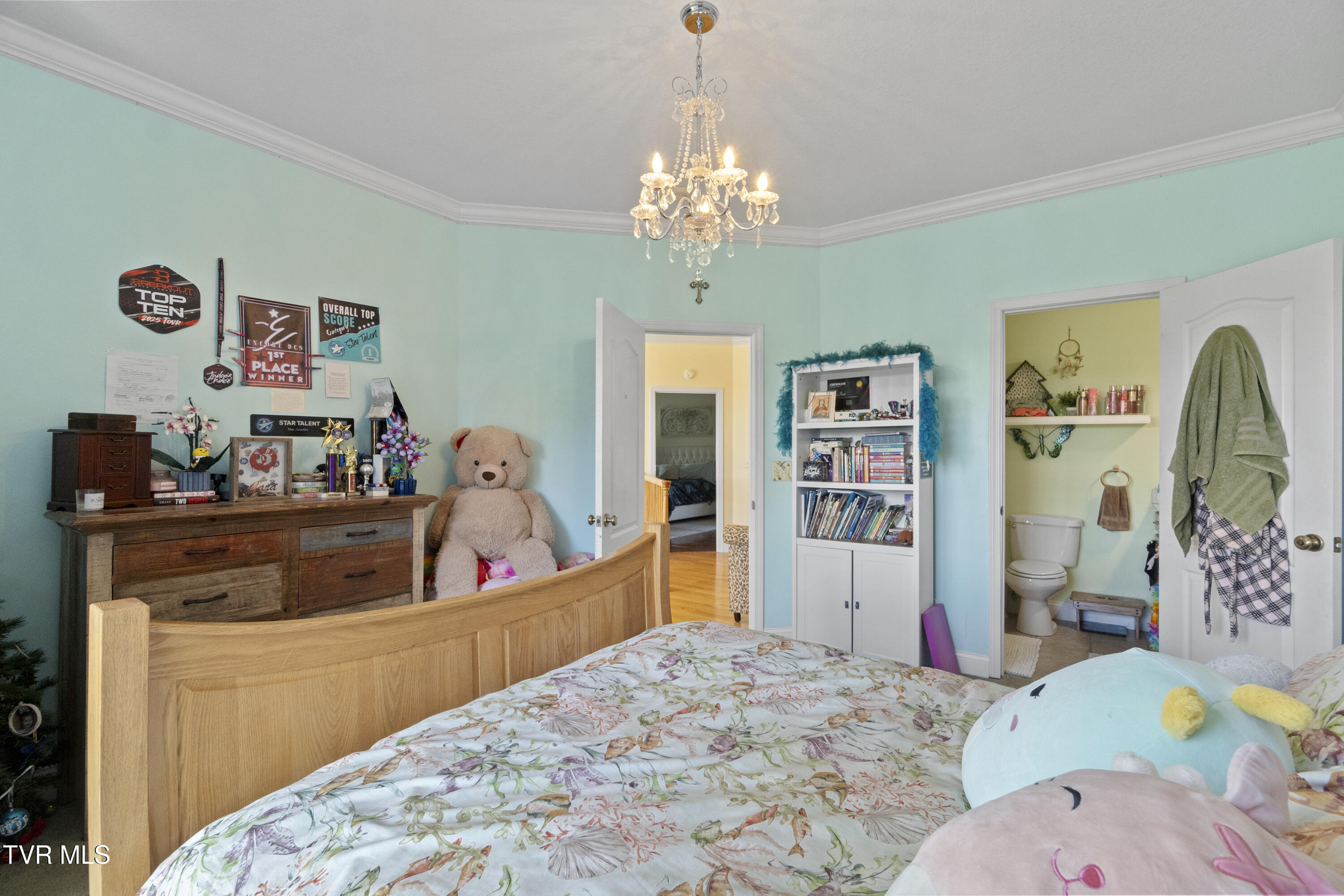 1625 Lick Hollow Road Greeneville, TN 37743 - Photo 40 of 70 DSC08099