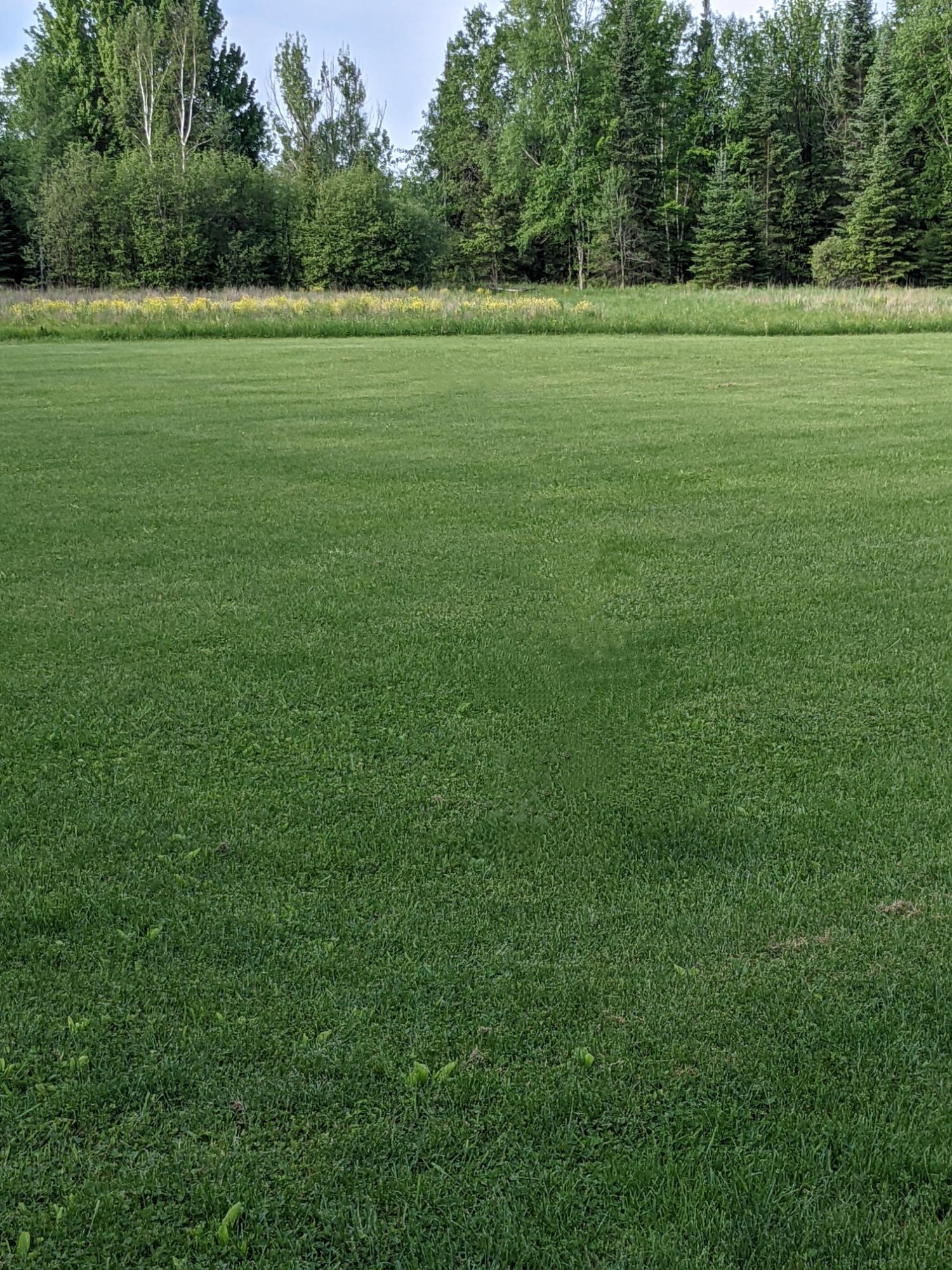 N8393 Pioneer Road Hawkins, WI 54530 - Photo 62 of 73 Gallery Image 62