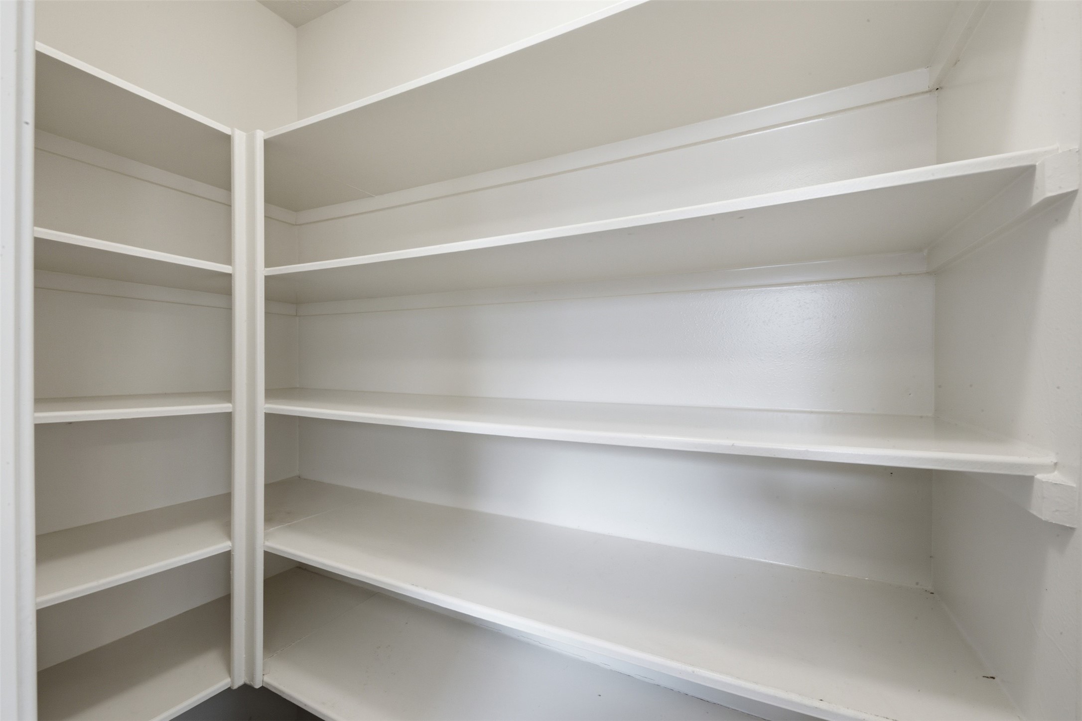 2446 Halstead Drive Spring, TX 77386 - Photo 17 of 45 Tons of space in the pantry.