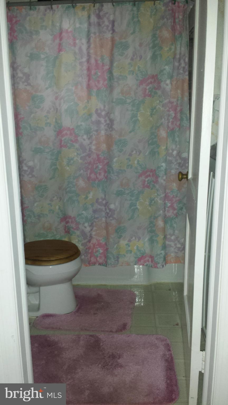 12109 Foley Street Silver Spring, MD 20902 - Photo 13 of 26 Bath