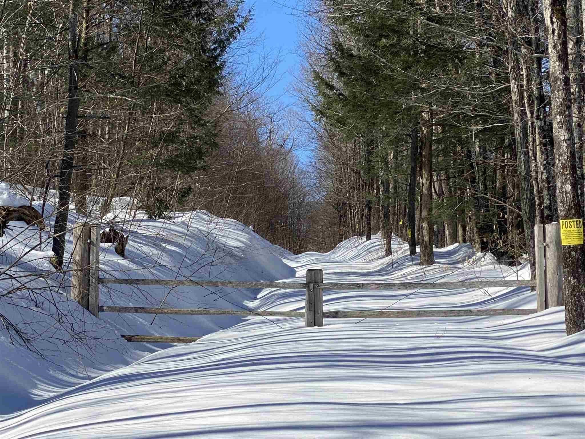 0 Delano Road Reading, VT 05062 - Photo 1 of 3