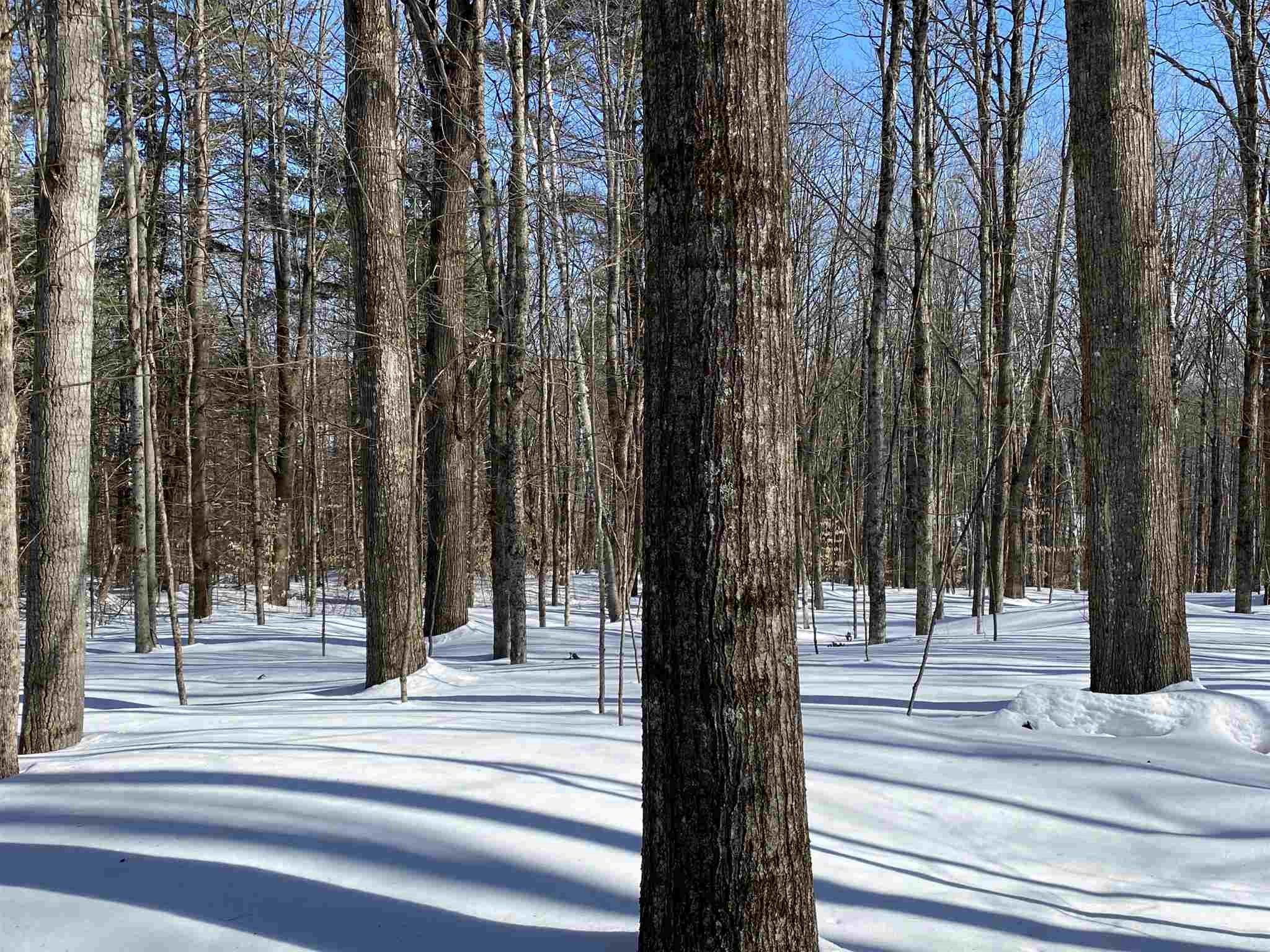 0 Delano Road Reading, VT 05062 - Photo 2 of 3