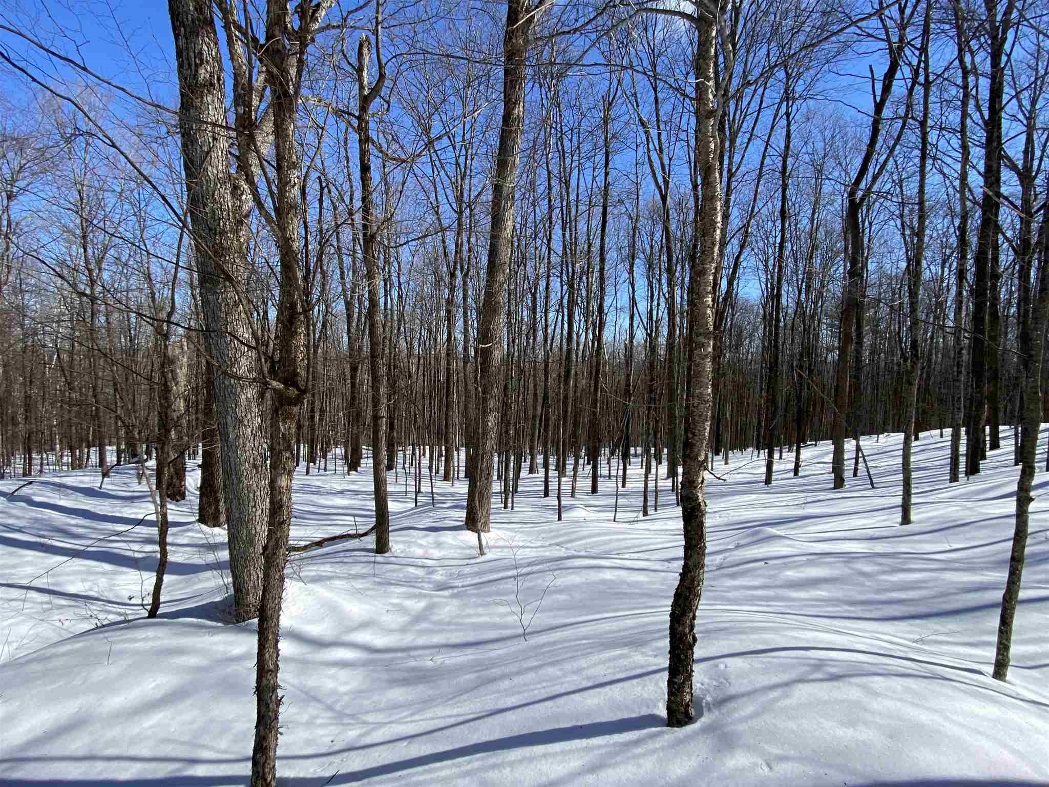 0 Delano Road Reading, VT 05062 - Photo 3 of 3