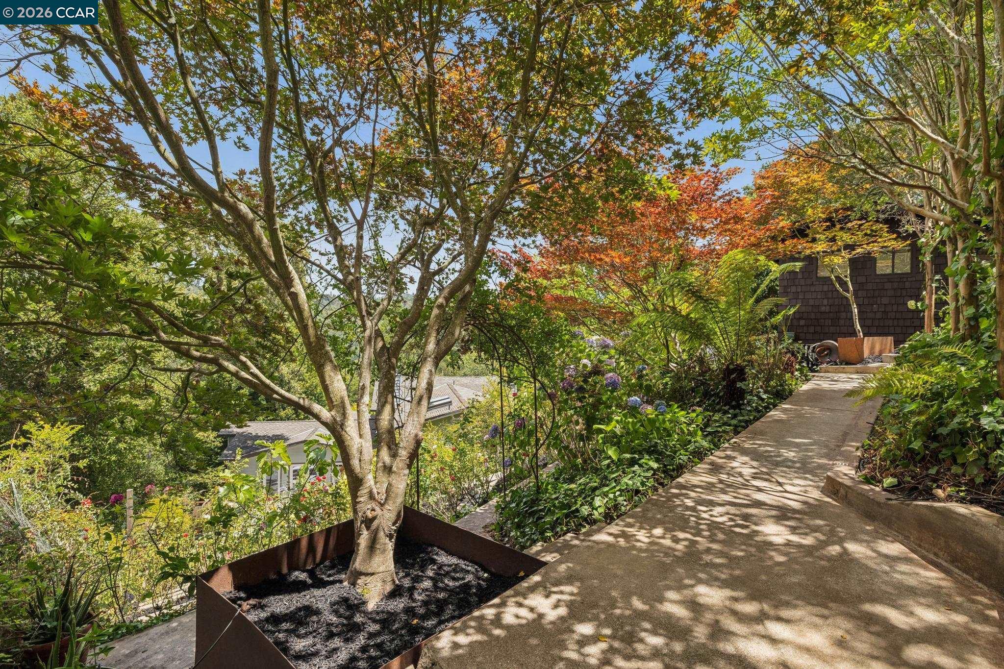 6 Monte Vista Road Orinda, CA 94563 - Photo 59 of 72
