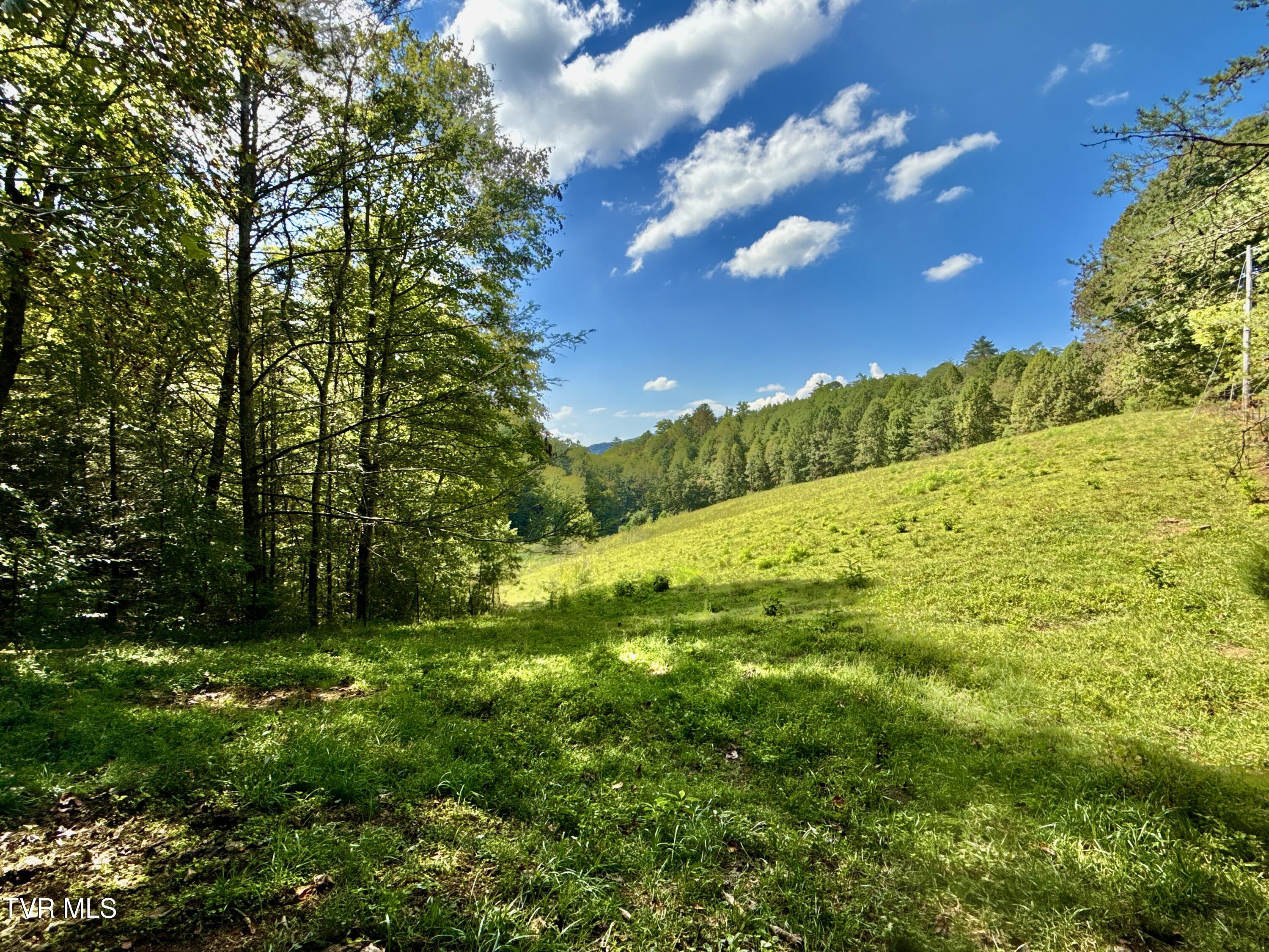 34-ac 34-ac Tbd Off Big Creek Road Hartford, TN 37753 - Photo 11 of 29 _Pic11 (26)