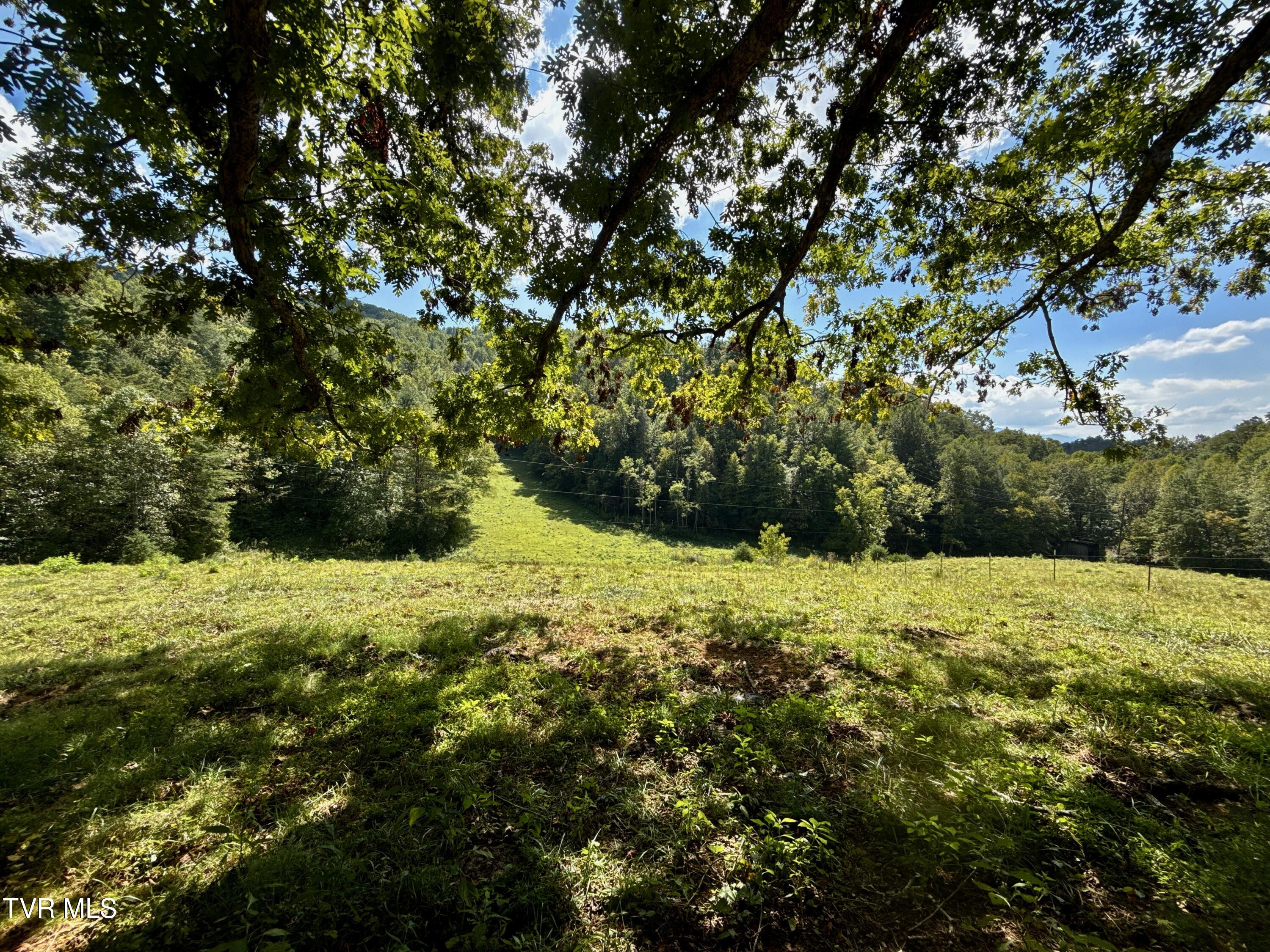 34-ac 34-ac Tbd Off Big Creek Road Hartford, TN 37753 - Photo 12 of 29 _Pic12 (24)