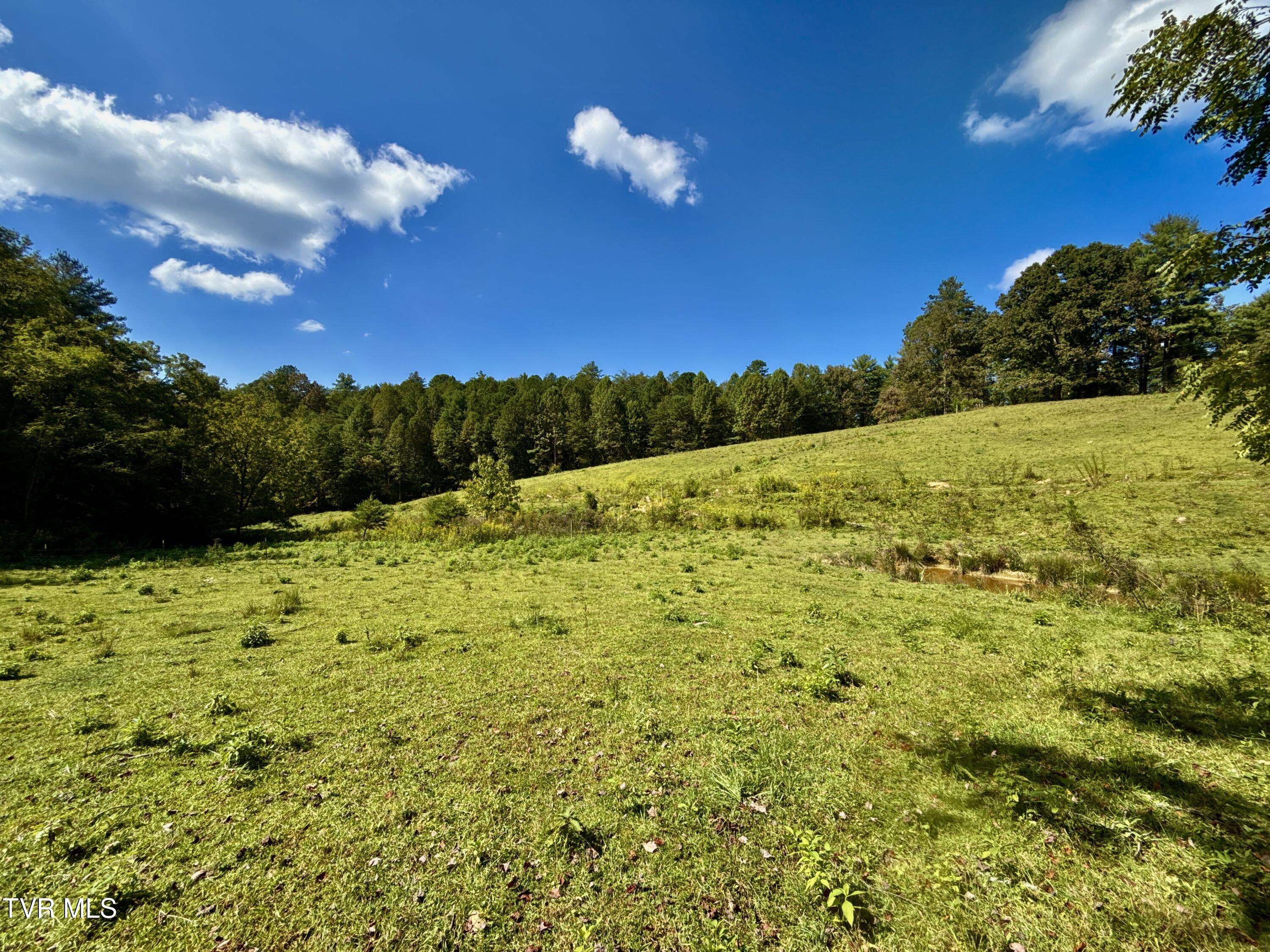 34-ac 34-ac Tbd Off Big Creek Road Hartford, TN 37753 - Photo 14 of 29 _Pic14 (26)