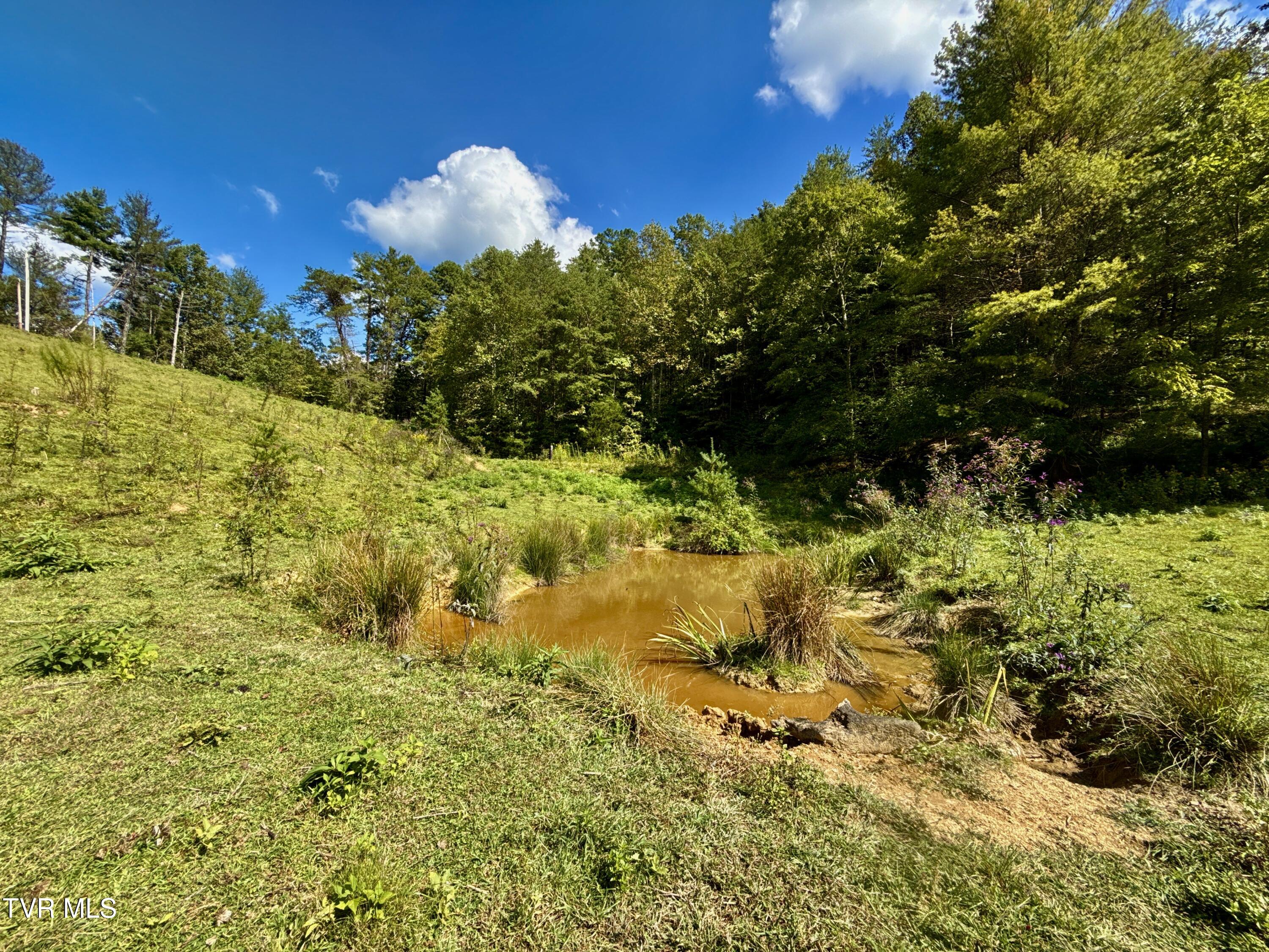34-ac 34-ac Tbd Off Big Creek Road Hartford, TN 37753 - Photo 15 of 29 _Pic15 (24)