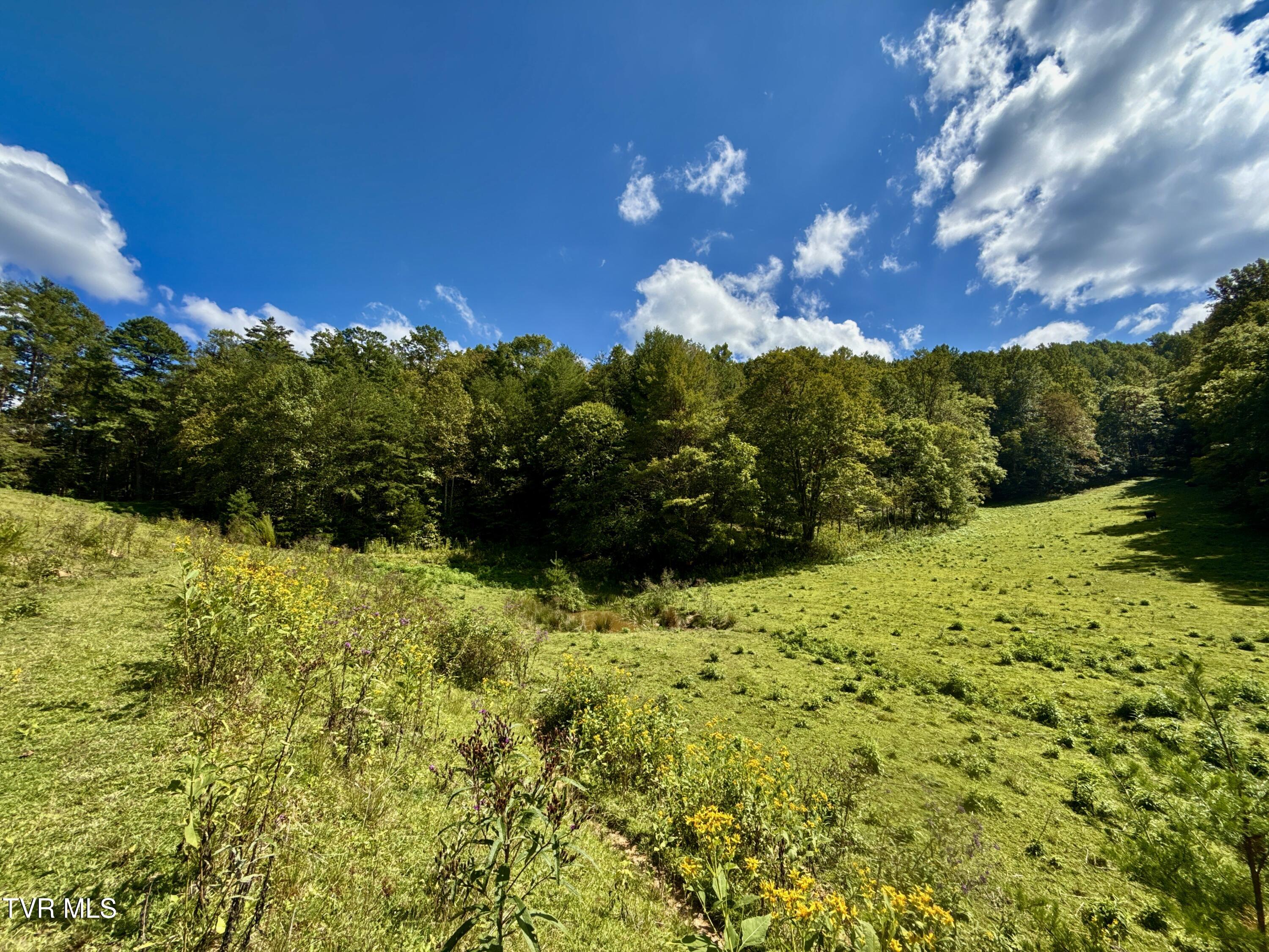 34-ac 34-ac Tbd Off Big Creek Road Hartford, TN 37753 - Photo 16 of 29 _Pic16 (24)