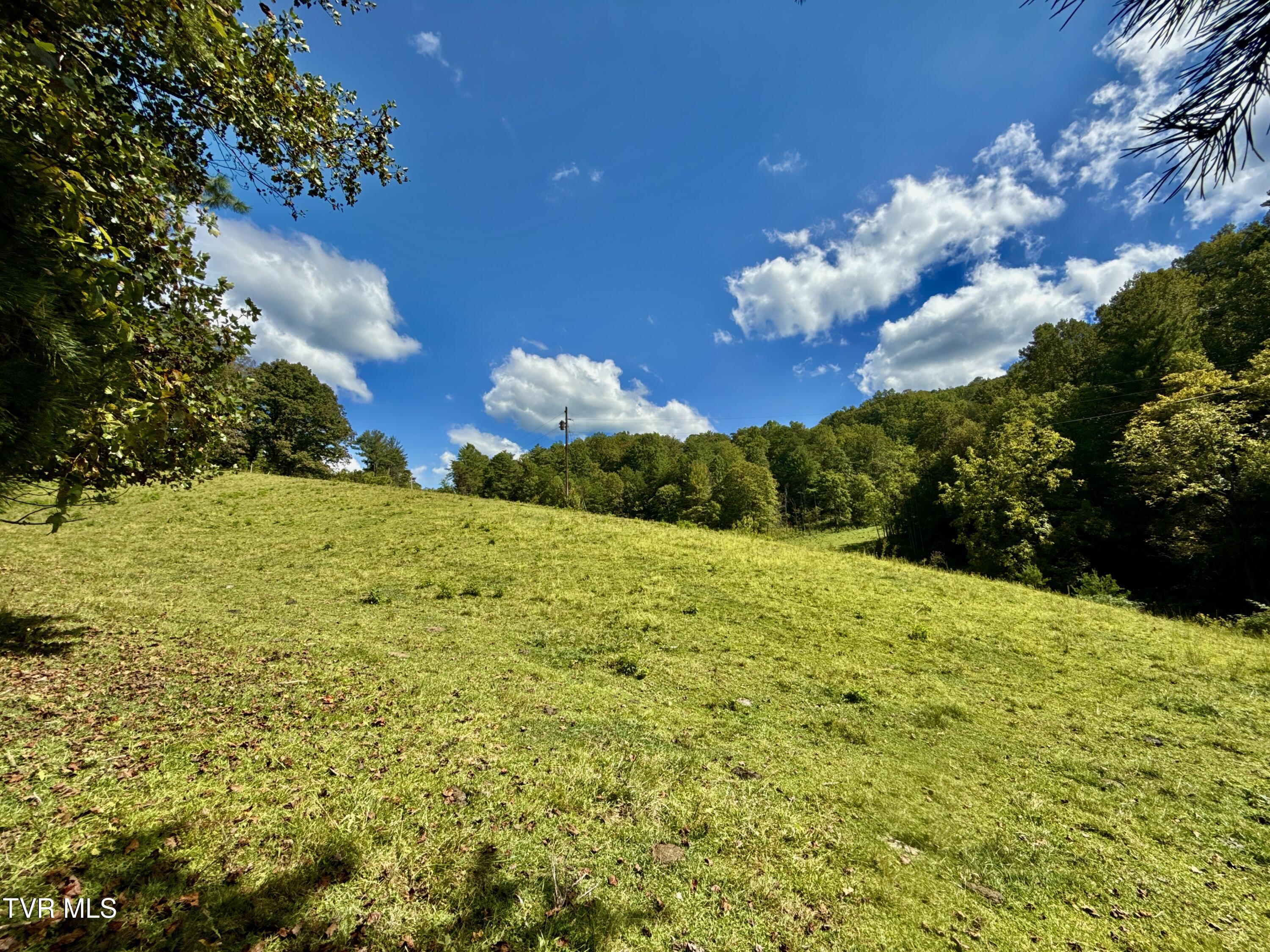 34-ac 34-ac Tbd Off Big Creek Road Hartford, TN 37753 - Photo 17 of 29 _Pic17 (26)