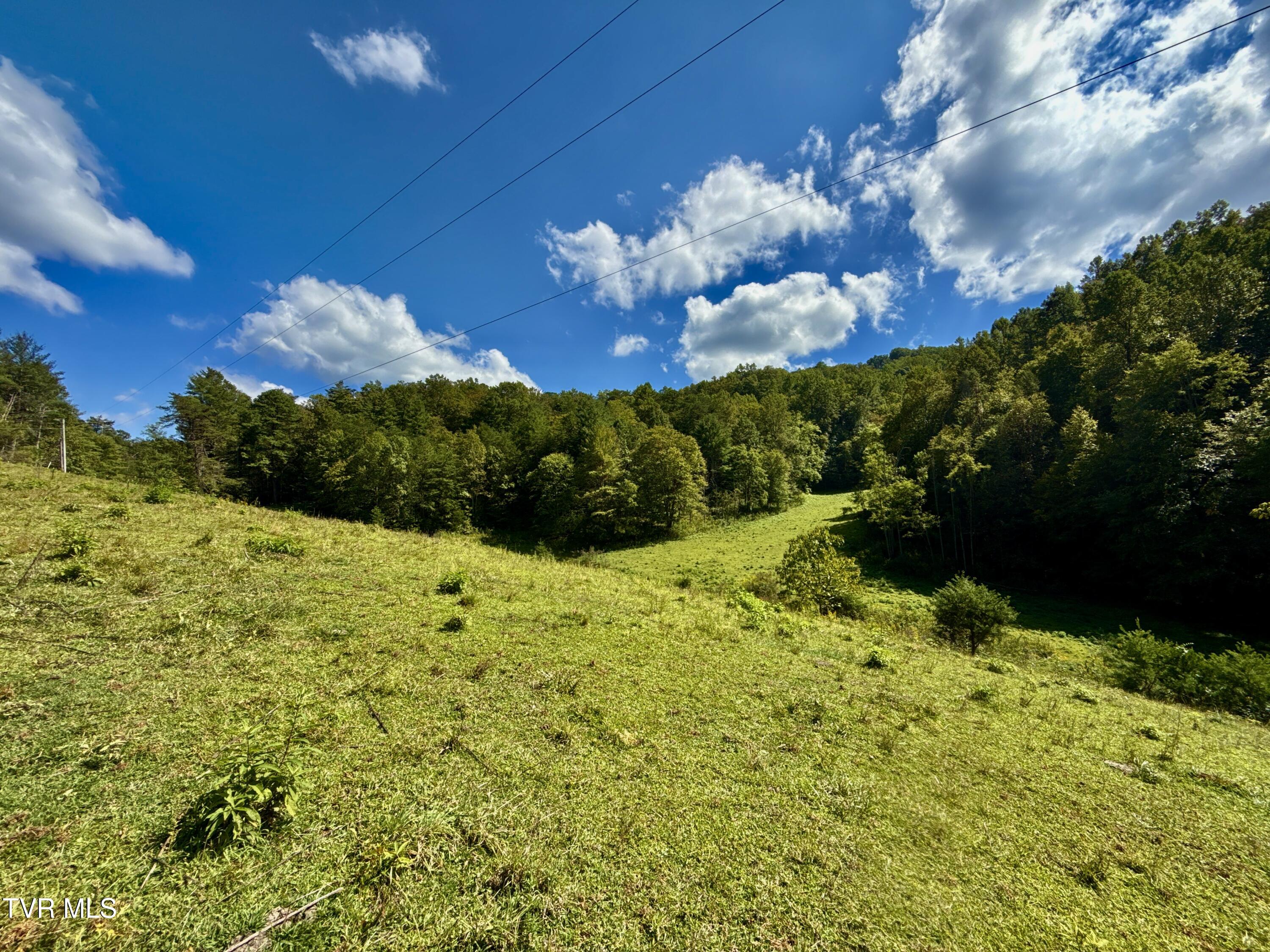 34-ac 34-ac Tbd Off Big Creek Road Hartford, TN 37753 - Photo 19 of 29 _Pic19 (26)