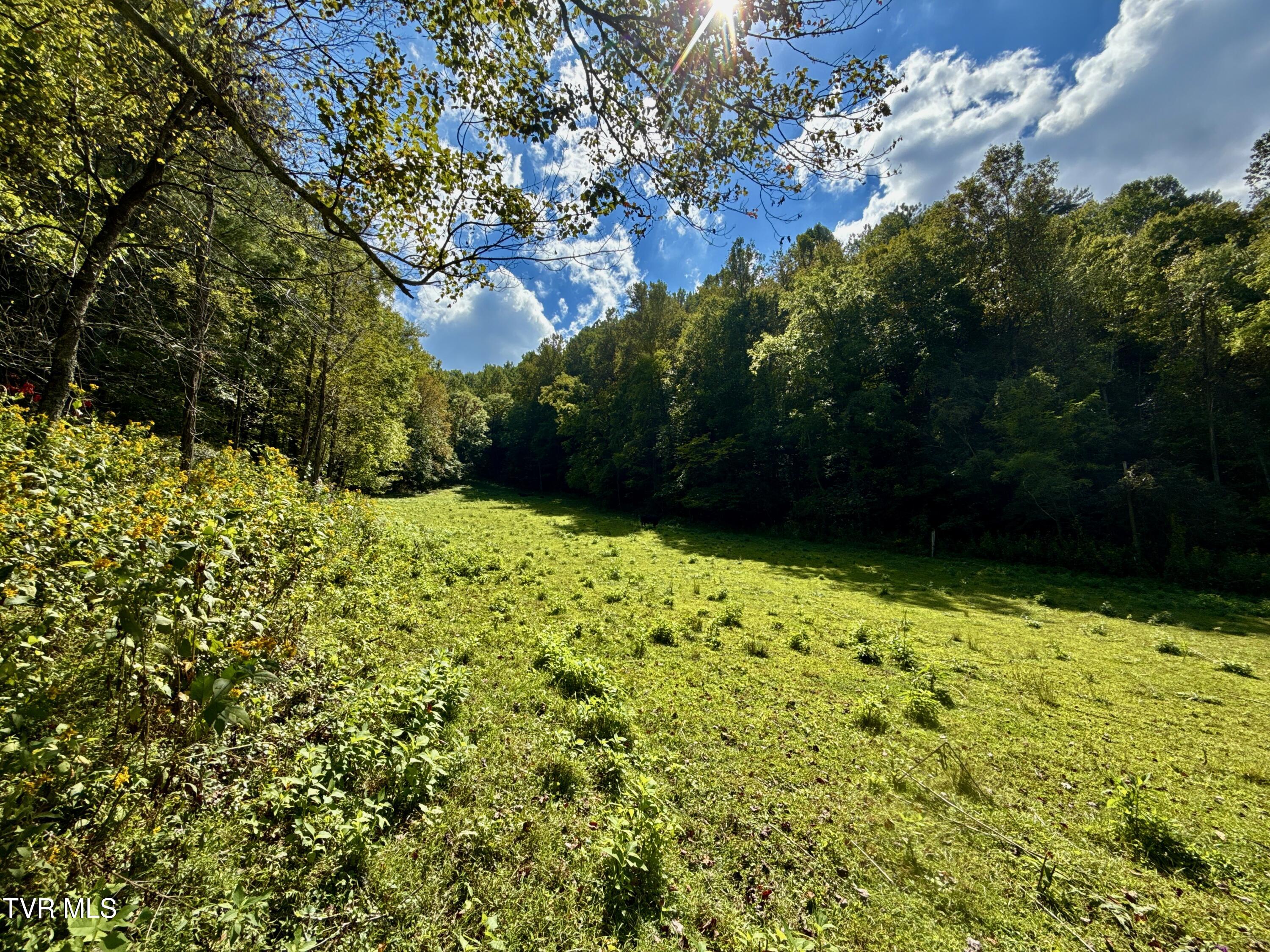 34-ac 34-ac Tbd Off Big Creek Road Hartford, TN 37753 - Photo 20 of 29 _Pic20 (25)