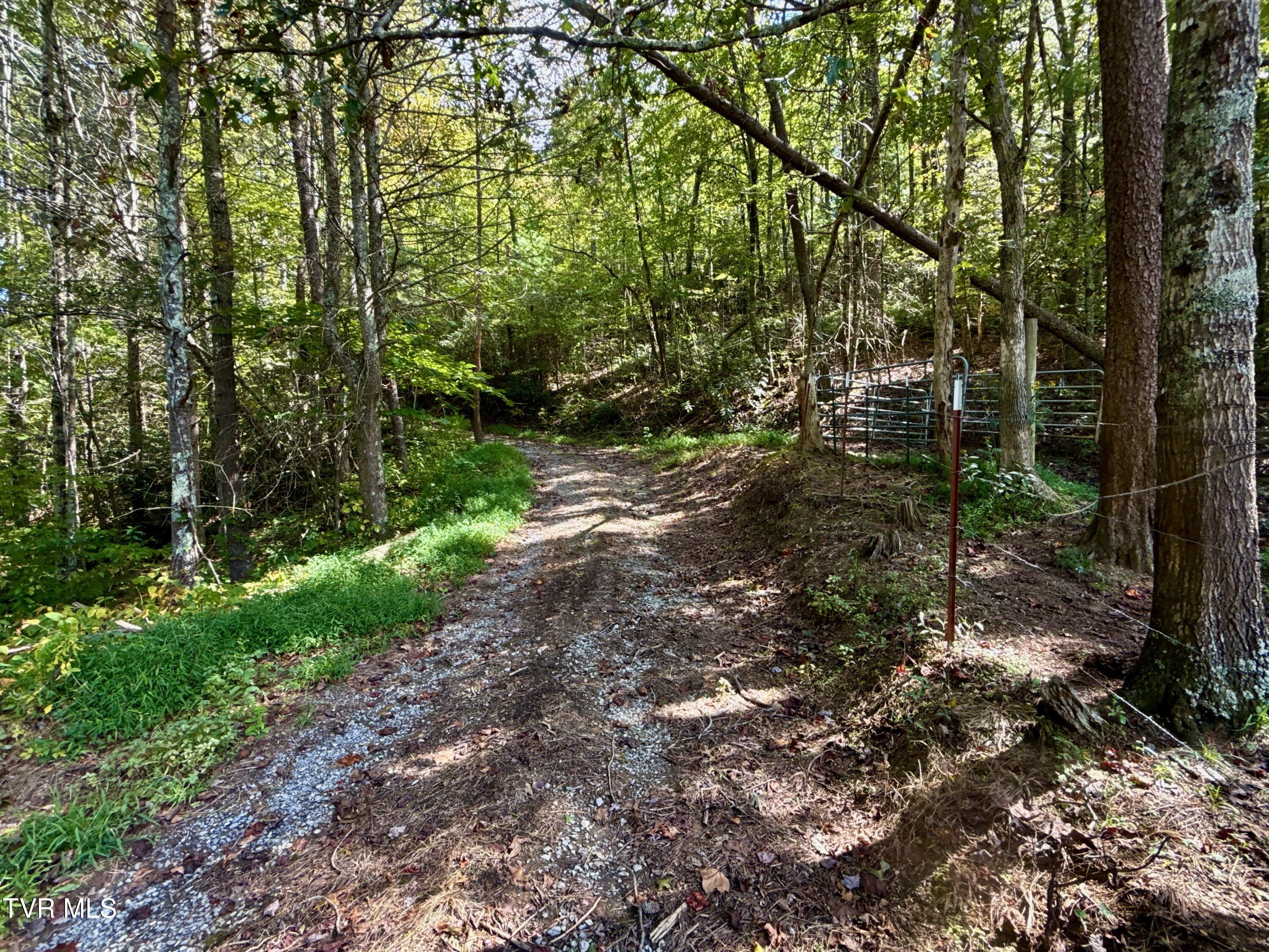 34-ac 34-ac Tbd Off Big Creek Road Hartford, TN 37753 - Photo 2 of 29 _Pic2 (25)