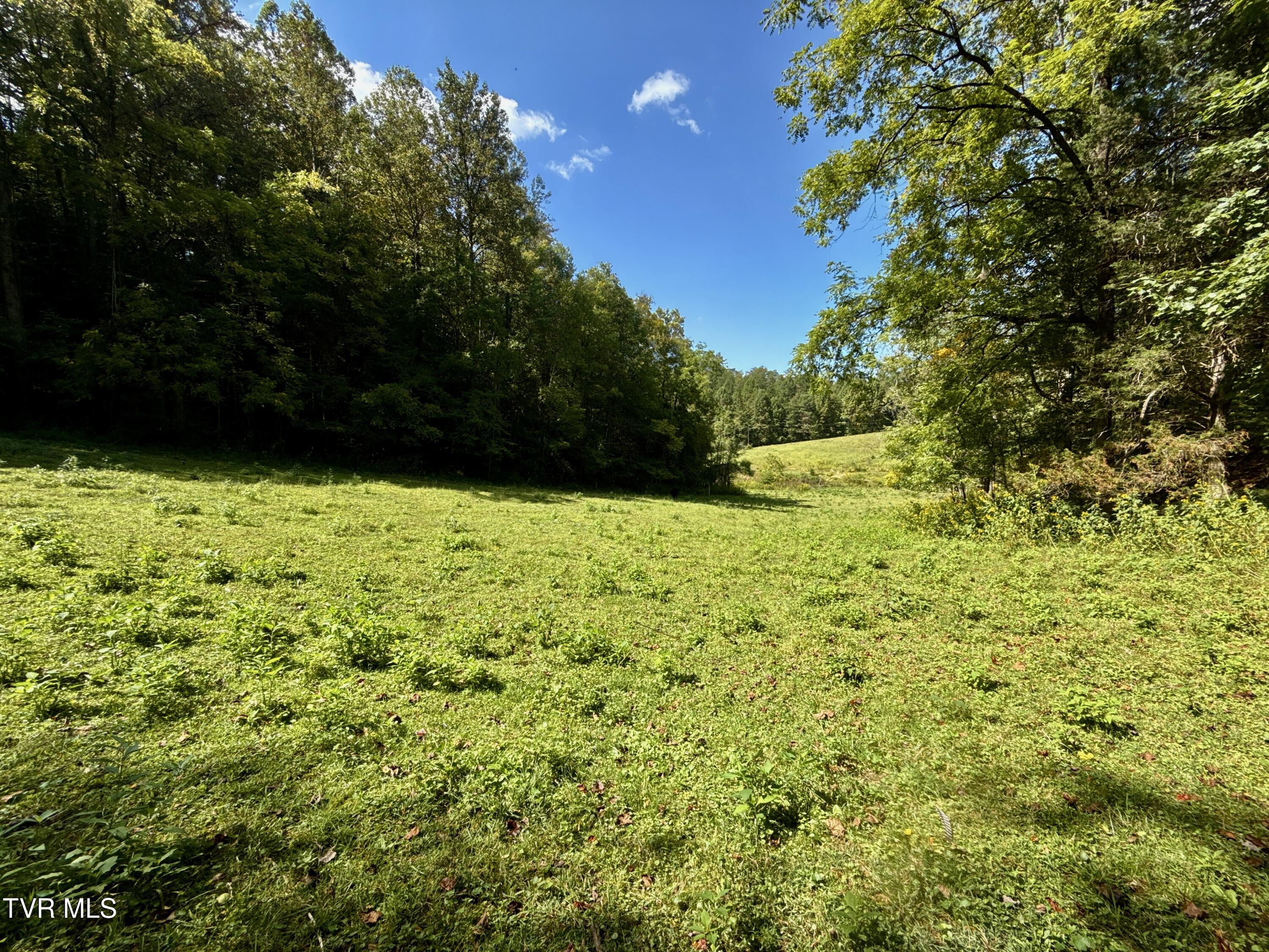 34-ac 34-ac Tbd Off Big Creek Road Hartford, TN 37753 - Photo 21 of 29 _Pic21 (25)