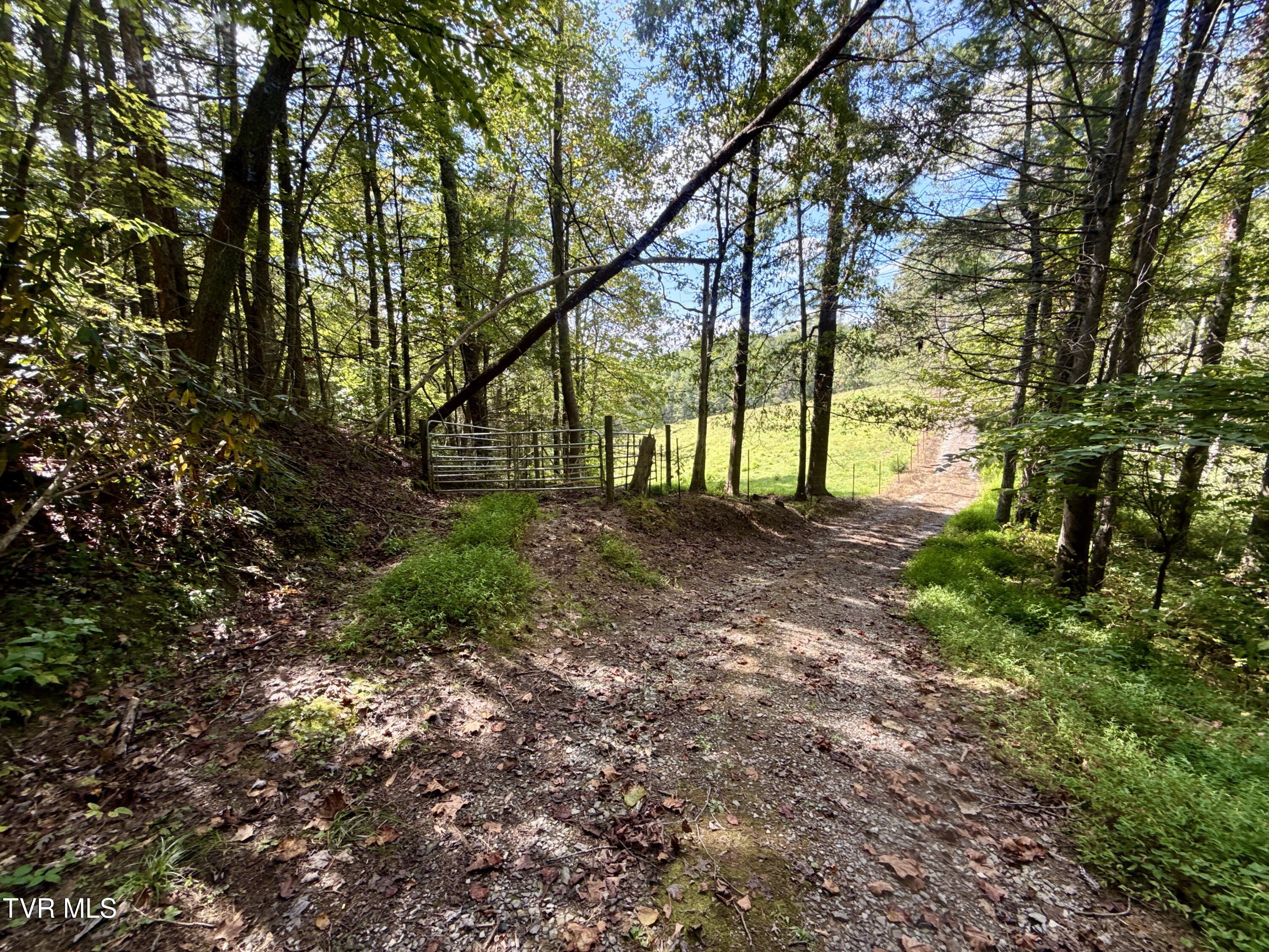 34-ac 34-ac Tbd Off Big Creek Road Hartford, TN 37753 - Photo 3 of 29 _Pic3 (28)