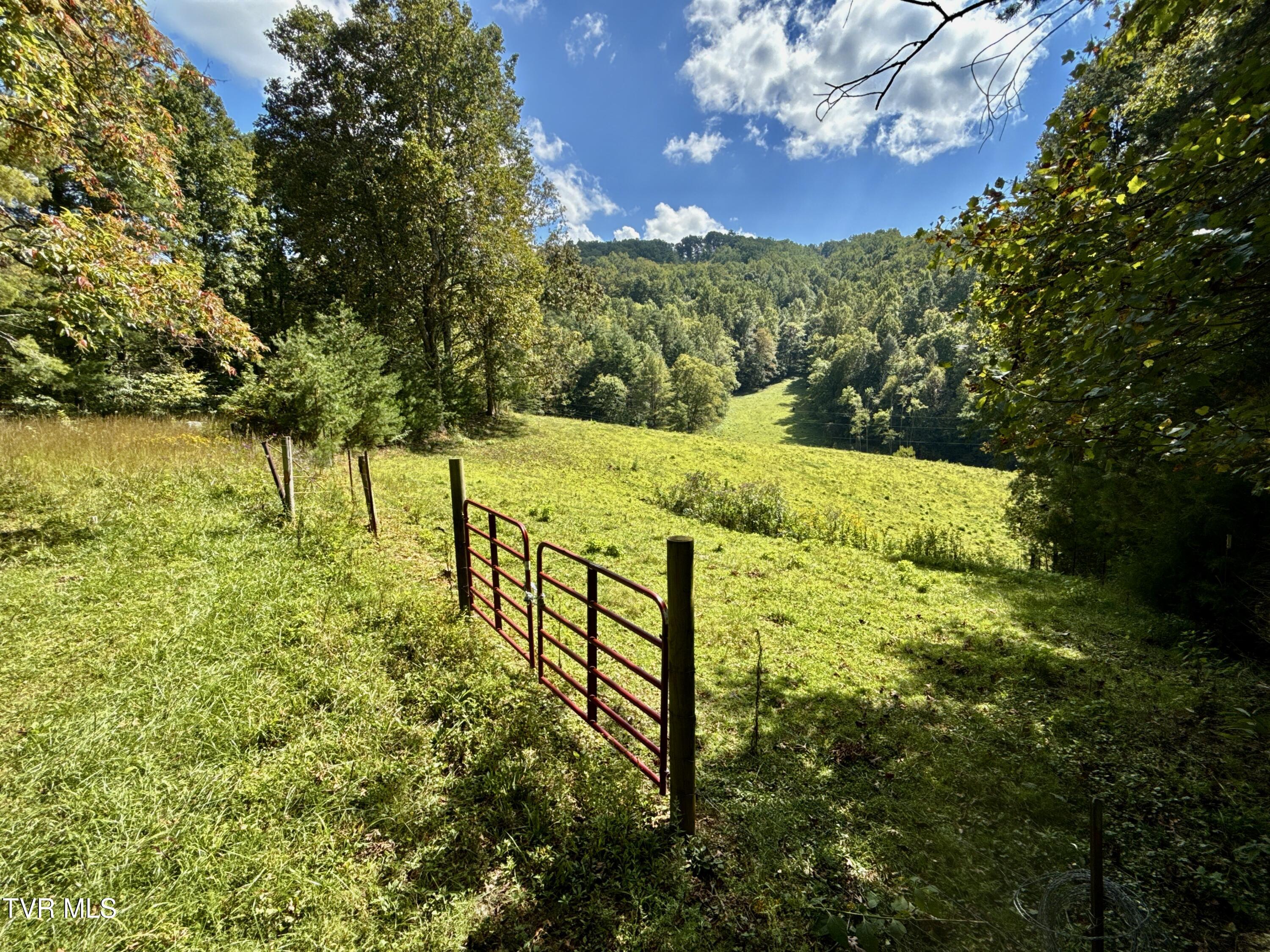 34-ac 34-ac Tbd Off Big Creek Road Hartford, TN 37753 - Photo 4 of 29 _Pic4 (29)