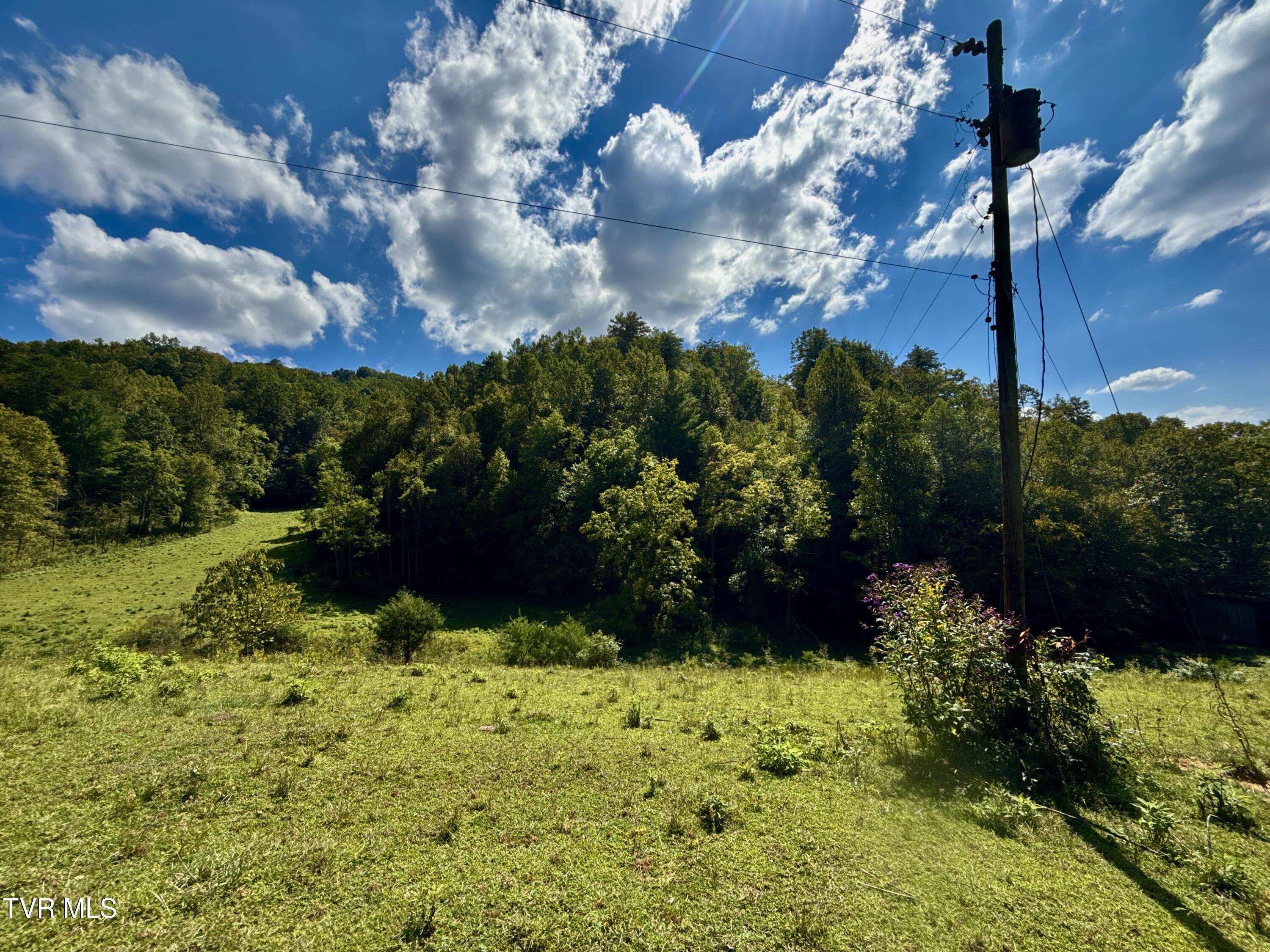 34-ac 34-ac Tbd Off Big Creek Road Hartford, TN 37753 - Photo 5 of 29 _Pic5 (29)