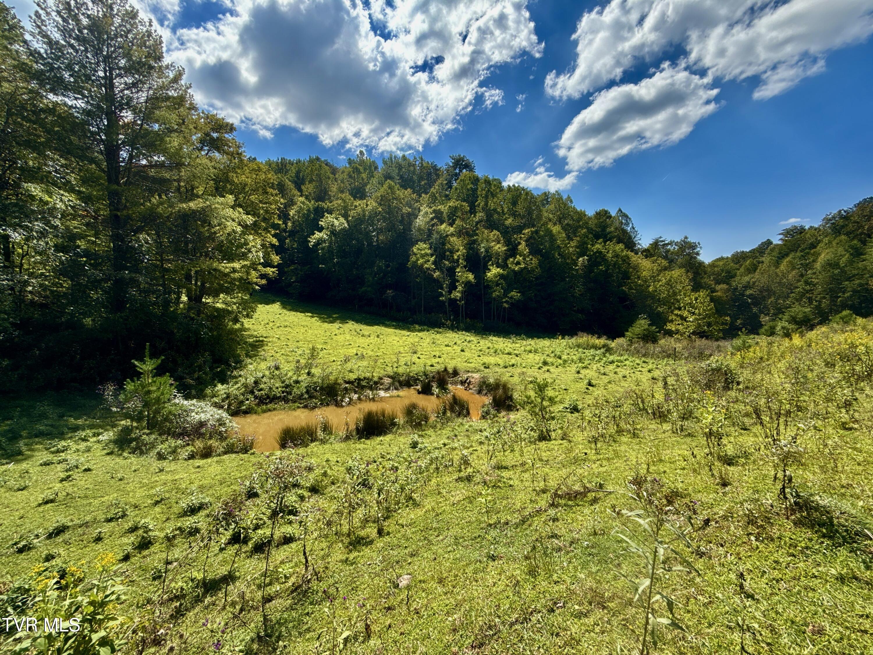34-ac 34-ac Tbd Off Big Creek Road Hartford, TN 37753 - Photo 10 of 29 _Pic10 (29)