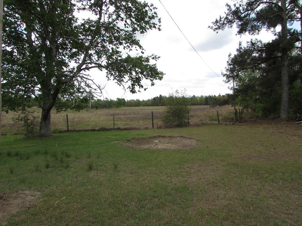 1617 Keys Pond Road Ridge Spring, SC 29129 - Photo 19 of 22