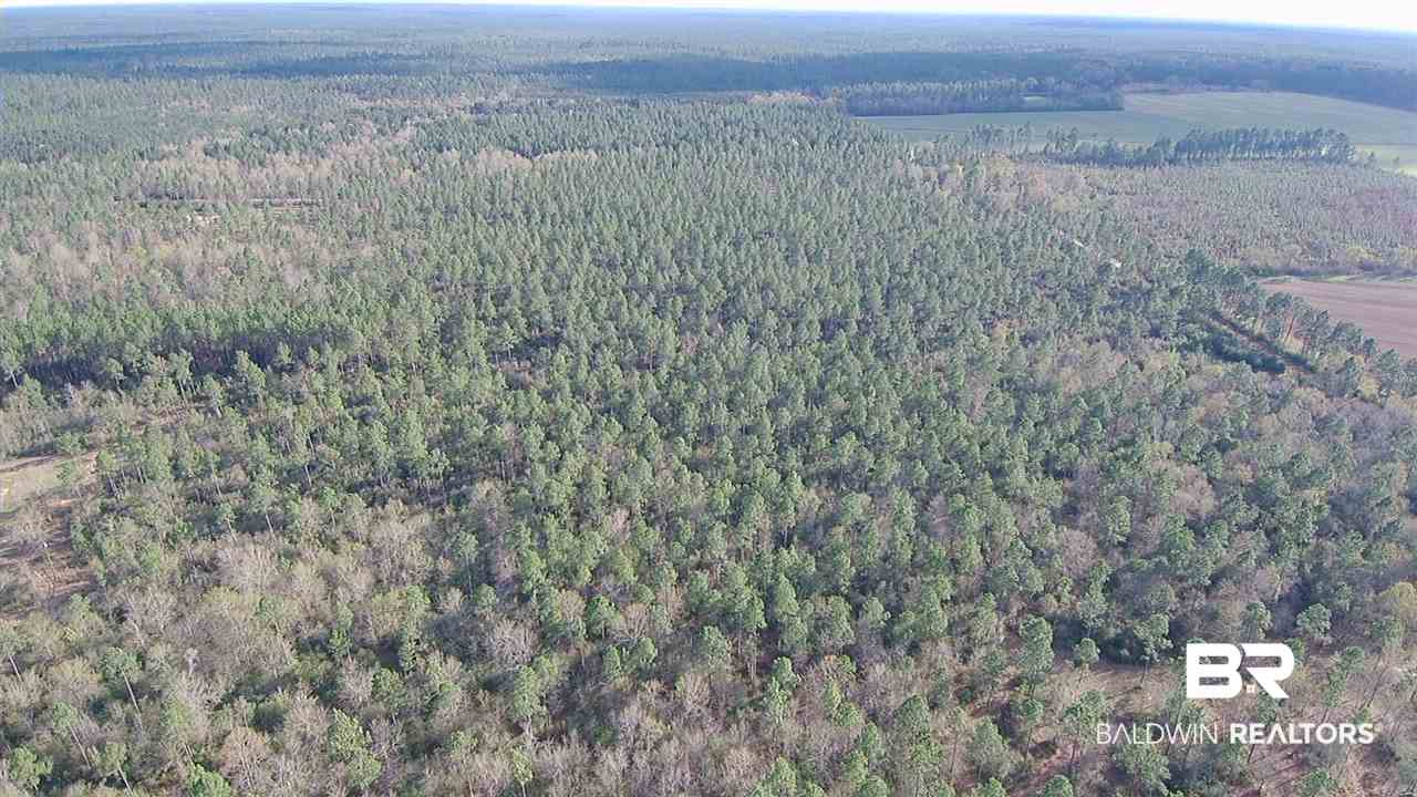 3 Red Cloud Road Baker, FL 32531 - Photo 11 of 14