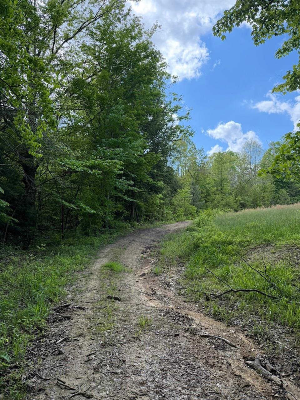 2395 Stringtown Road Sandy Hook, KY 41171 - Photo 12 of 13