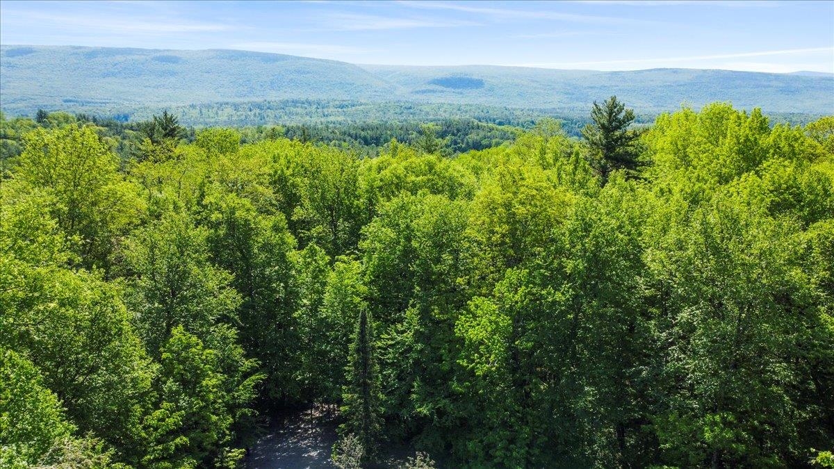 122 Glebe Lot Road Arlington, VT 05250 - Photo 3 of 36 Gallery Image 3