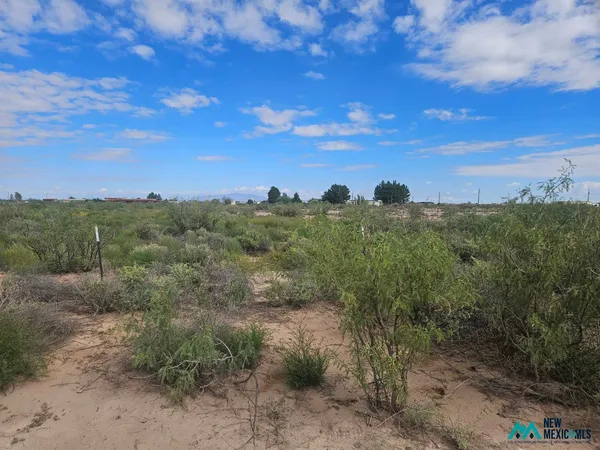 $16,000 | 1234 South Luna Road Southeast, Deming, NM 88030