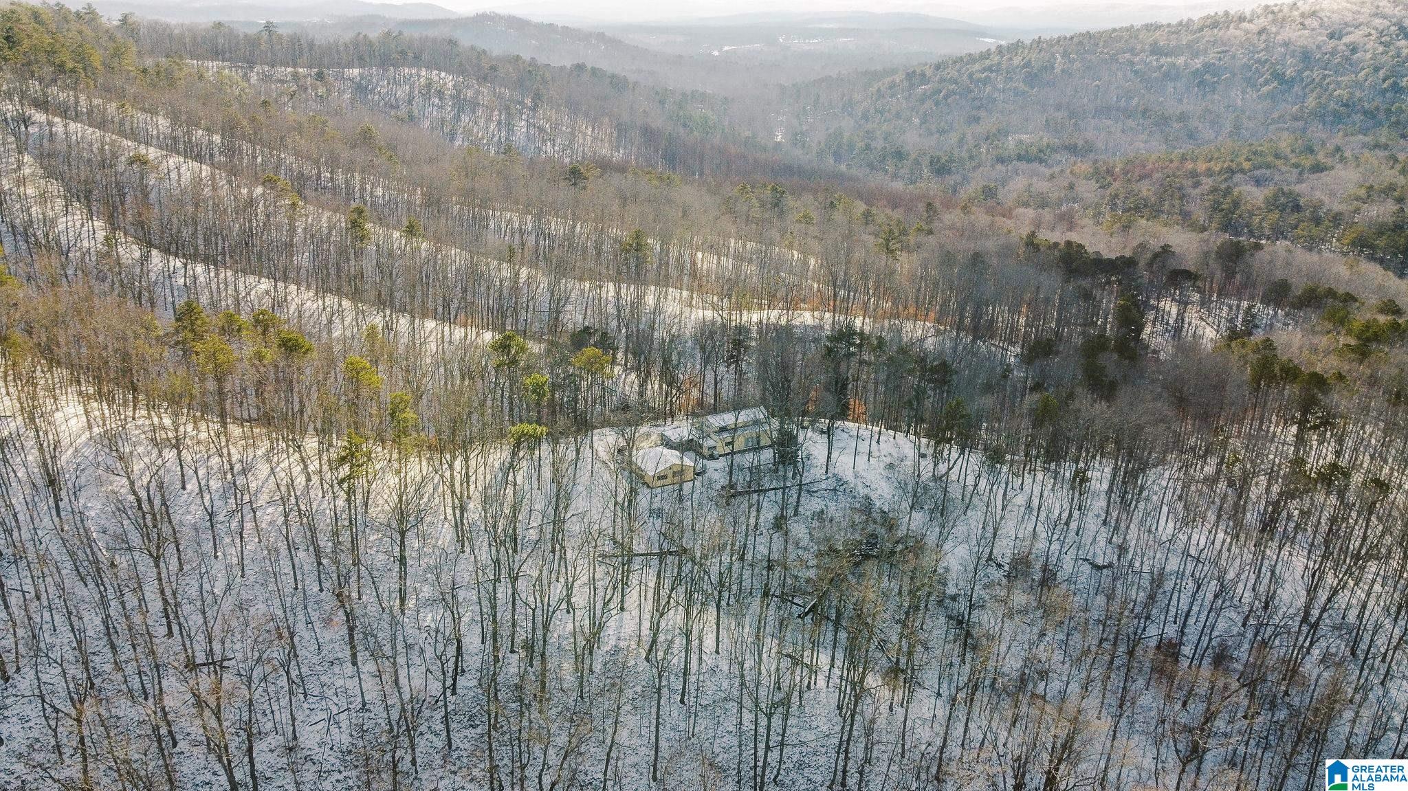 5325 Union T Road Talladega, AL 35160 - Photo 76 of 83