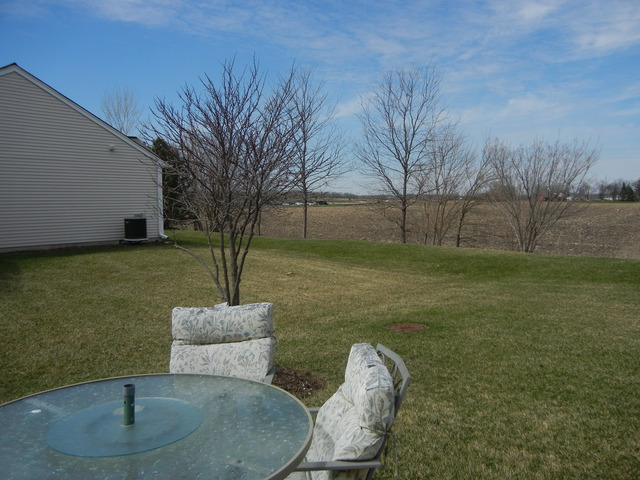 13468 Delaney Road Huntley, IL 60142 - Photo 16 of 17 a backyard of a house with lots of green space