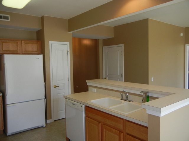 13468 Delaney Road Huntley, IL 60142 - Photo 5 of 17 a bathroom with a sink and a mirror