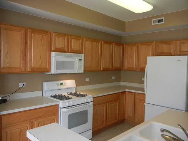 13468 Delaney Road Huntley, IL 60142 - Photo 8 of 17 a kitchen with a refrigerator sink and cabinets