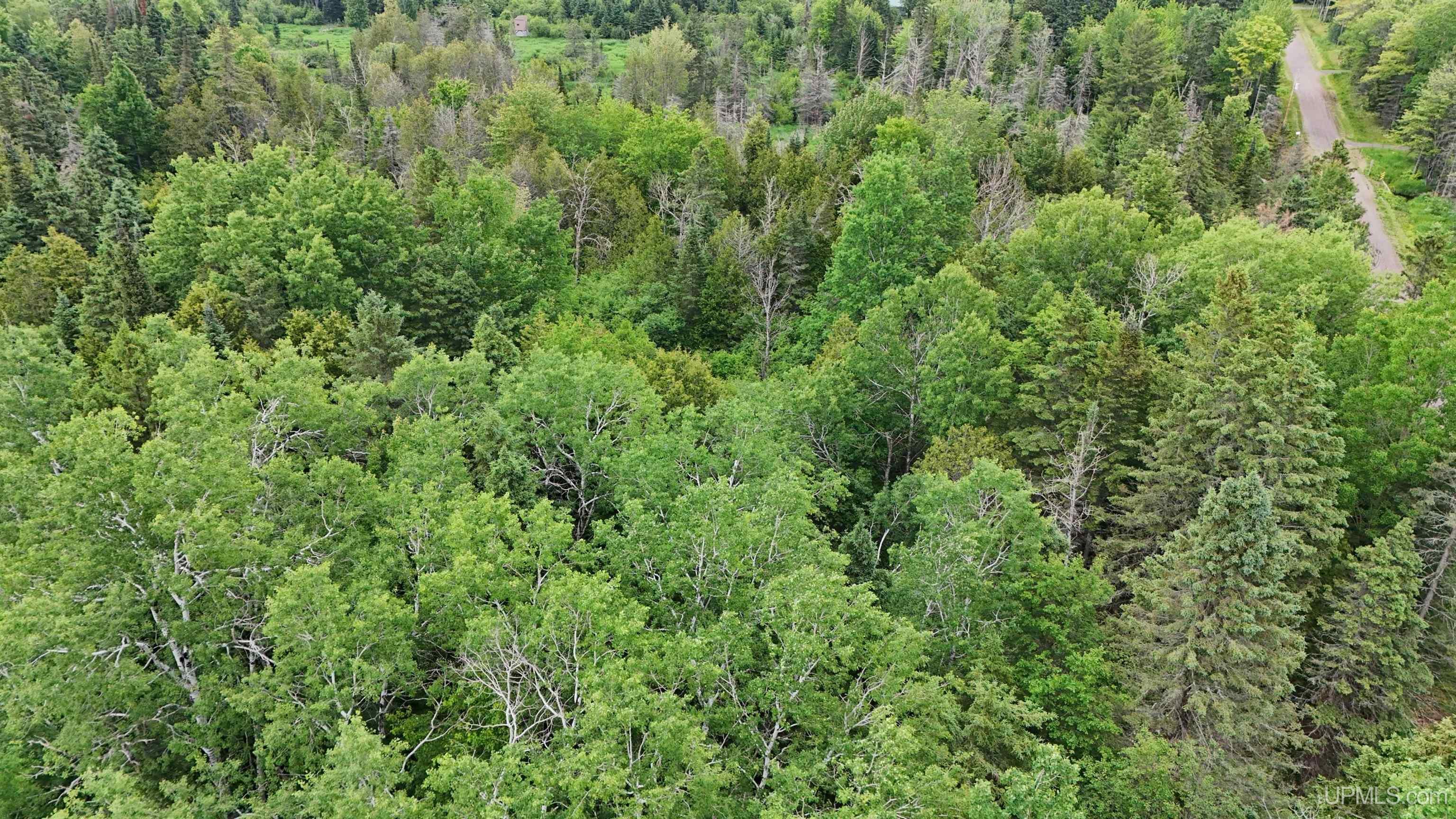 5.23 Messner Road Baraga, MI 49908 - Photo 12 of 18