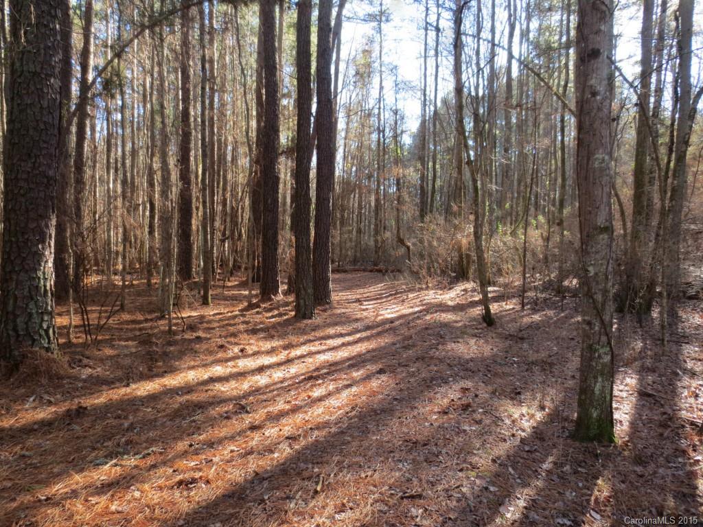 9026 Island Point Road, Unit 119 Charlotte, NC 28278 - Photo 2 of 20 Gallery Image 2