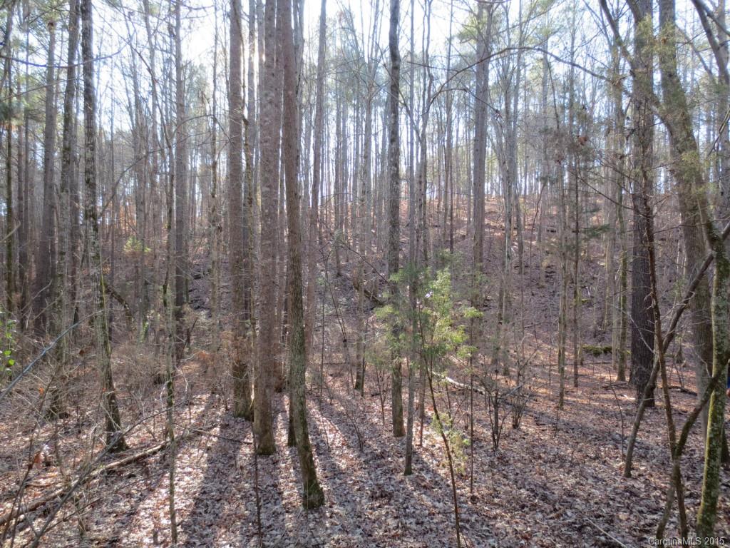 9026 Island Point Road, Unit 119 Charlotte, NC 28278 - Photo 7 of 20 Gallery Image 7